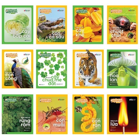 Bộ khám phá tự nhiên quanh em (12c) 540k