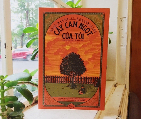 Cây cam ngọt của tôi