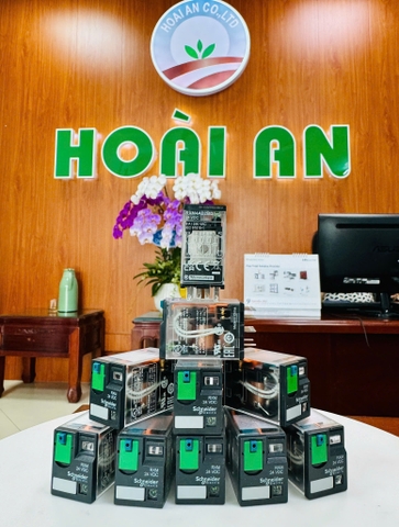 Relay Schneider RXM4AB2BD