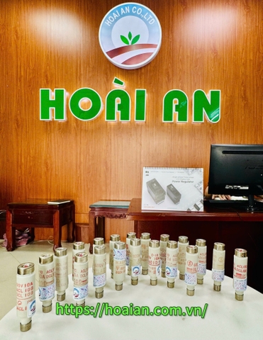 Cầu chì FUJI BLA010