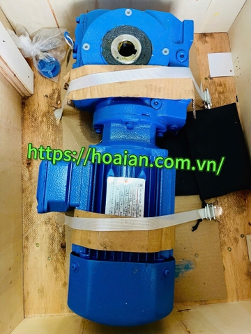 Hộp số + Đông cơ giảm tốc TSAF48-Y0.18-8P-228.75-M1-II-A-X hãng Tongli