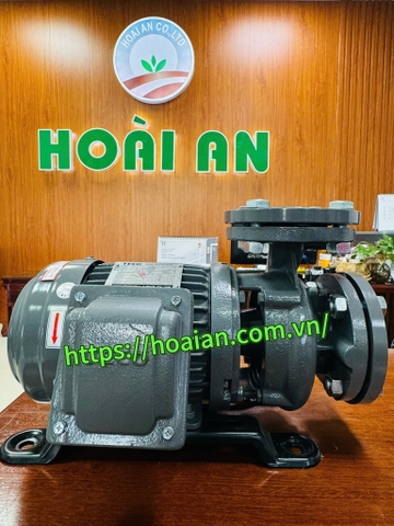 Máy bơm nước TECO 0.75HP TEGH80M1-2