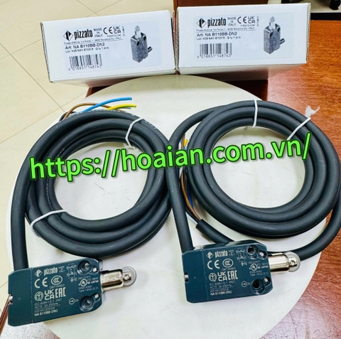 Công tắc hành trình Pizzato Italy NA B110BB-DN2