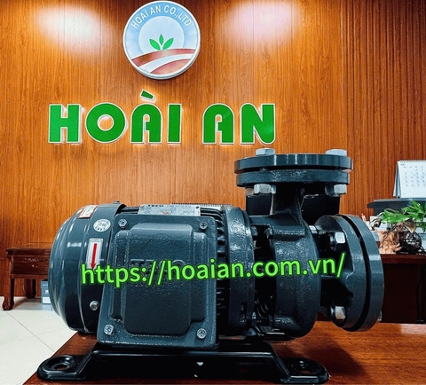 Máy bơm nước TECO 0.75HP TEGH80M1-2
