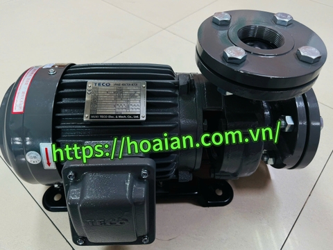 Máy bơm nước trục ngang TECO  TEGH90L2-2