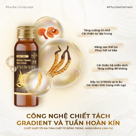 Nước Uống Đông Trùng Hạ Thảo Phurba - 1 Thùng 12 Hộp