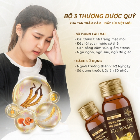 Nước Uống Đông Trùng Hạ Thảo Phurba - 1 Thùng 12 Hộp