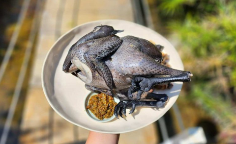 GÀ H'MÔNG ĐEN TUYỀN - GÀ TƯƠI LÀM SẠCH 1,2-1,6KG/CON