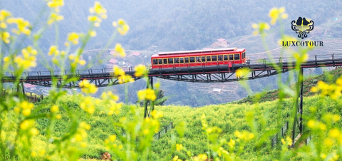 Explore the Beauty of Sapa and Conquer Fansipan Peak in 2 Days and 1 Night - Limousine Bus Itinerary