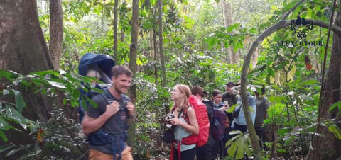 Group Tour to Cuc Phuong National Park: Full Day Adventure Amid  Nature
