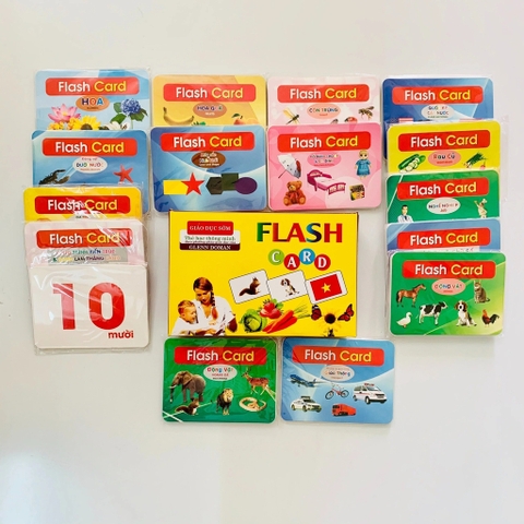 Flash card 19 chủ đề (12*16cm)