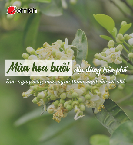 Mùa hoa bưởi dịu dàng trên phố, làm ngay món ngon thơm ngát đãi cả nhà