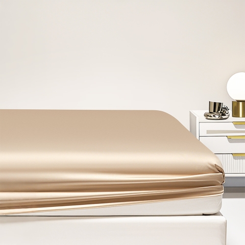 Bộ Chăn Ga Gối 100% Tencel ETS07