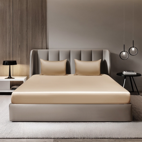 Bộ Chăn Ga Gối 100% Tencel ETS07