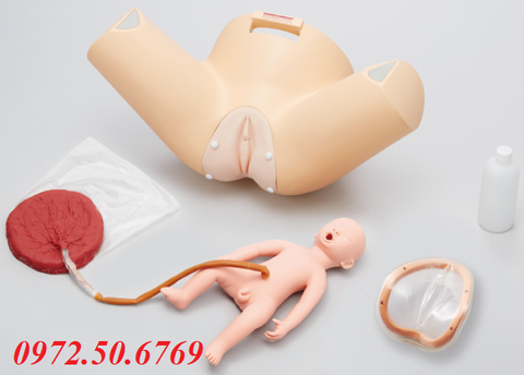 Mô hình đào tạo sản khoa Sakamoto