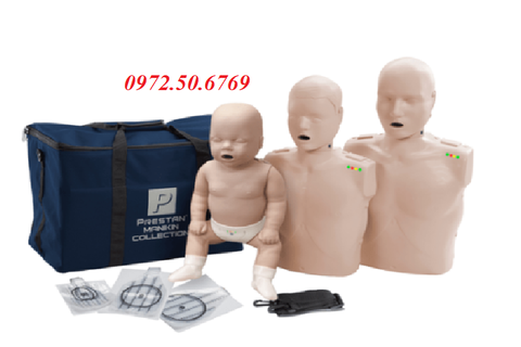 BỘ MÔ HÌNH ĐÀO TẠO CPR QUA TỪNG GIAI ĐOẠN CỦA NAM GIỚI MODEL PP-FM-300M-MS