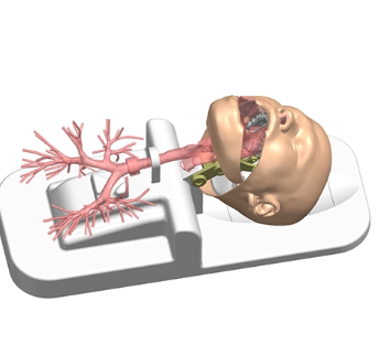 Mô hình huấn luyện nội soi hô hấp