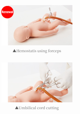 Mô hình đào tạo sản khoa Sakamoto