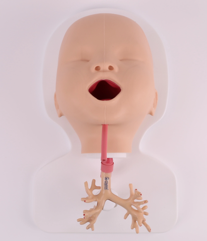 Mô hình huấn luyện nội soi phế quản nhi khoa