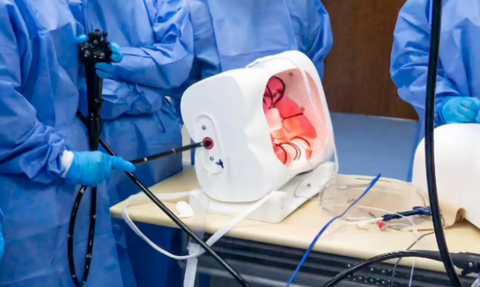 Mô hình huấn luyện nội soi đại tràng