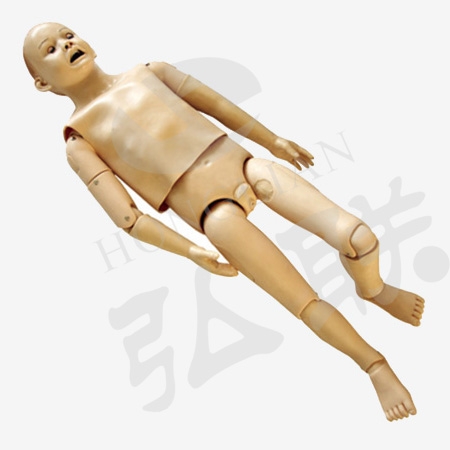 Mô hình sơ cứu toàn diện cao cấp dành cho trẻ em (5 tuổi) GD/ACLS1600A