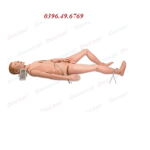 MÔ HÌNH MÔ PHỎNG ĐIỆN TÂM ĐỒ (ECG) MODEL GD/ZXD190