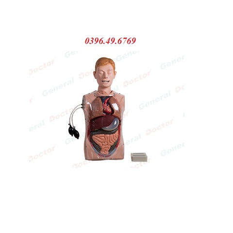 MÔ HÌNH ĐẶT SONDE DẠ DÀY VÀ RỬA DẠ DÀY TRONG SUỐT MODEL GD/H80