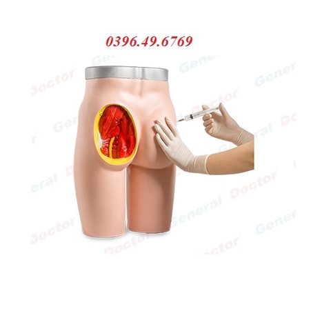 MÔ HÌNH TIÊM BẮP MÔNG MODEL GD/HS10C