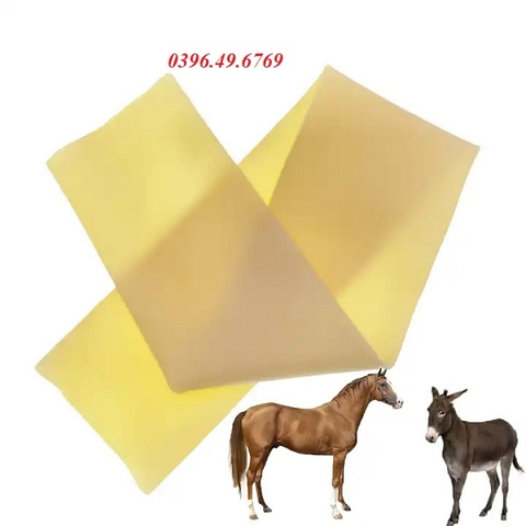 ÂM ĐẠO GIẢ CHO NGỰA CHUYÊN DỤNG