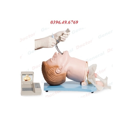 MÔ HÌNH ĐẶT NỘI KHÍ QUẢN ĐIỆN TỬ NGƯỜI LỚN MODEL GD/J55+
