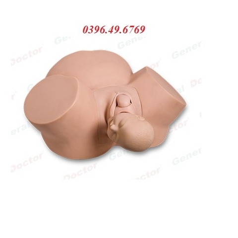MÔ HÌNH THỰC HÀNH ĐỠ ĐẺ SẢN KHOA ĐẺ KHÓ MODEL GD/F4