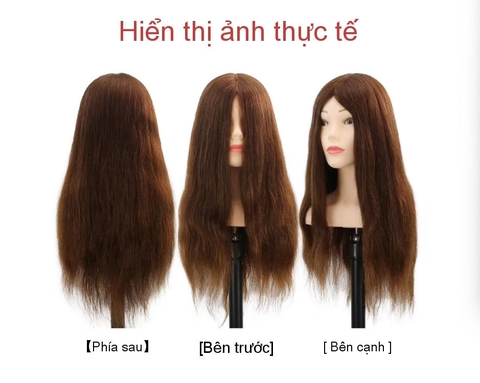 Mô hình thực hành tạo mẫu tóc
