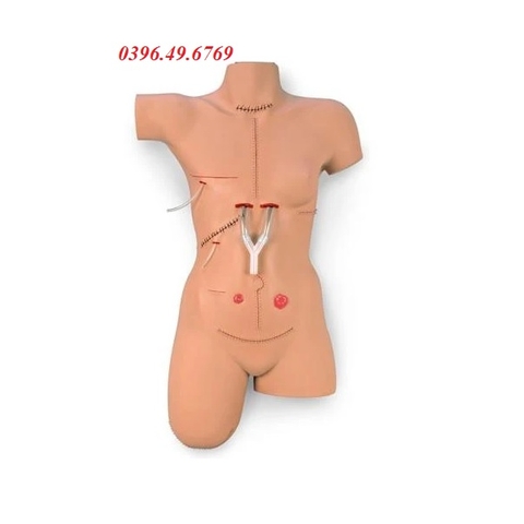 MÔ HÌNH BĂNG BÓ VẾT THƯƠNG VÀ THAY BĂNG CẮT CHỈ LF00929 NASCO