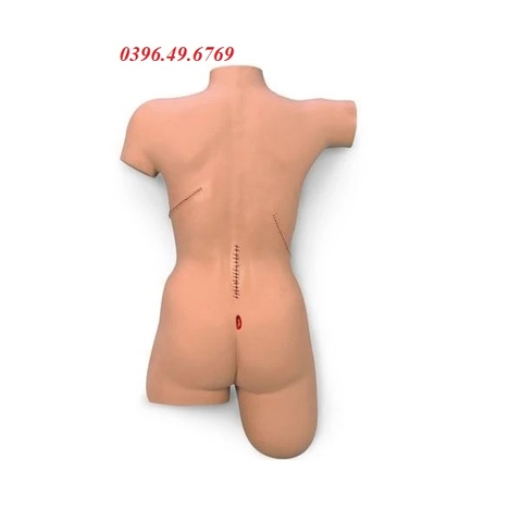 MÔ HÌNH BĂNG BÓ VẾT THƯƠNG VÀ THAY BĂNG CẮT CHỈ LF00929 NASCO