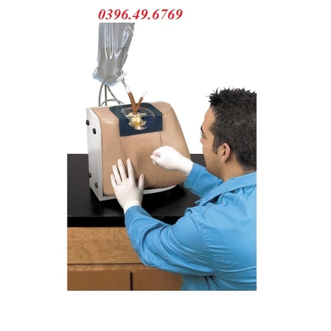 MÔ HÌNH THỰC HÀNH CHỌC DÒ TỦY SỐNG LF01036U NASCO MỸ