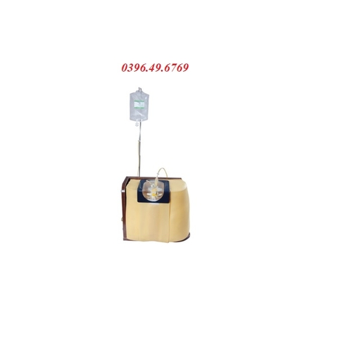 MÔ HÌNH CHỌC DÒ TUỶ SỐNG THẮT LƯNG GD/L68A