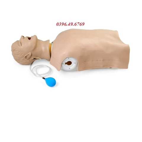 MÔ HÌNH ĐẶT NỘI KHÍ QUẢN - THỰC HÀNH CPR MODEL LF03669 NASCO MỸ