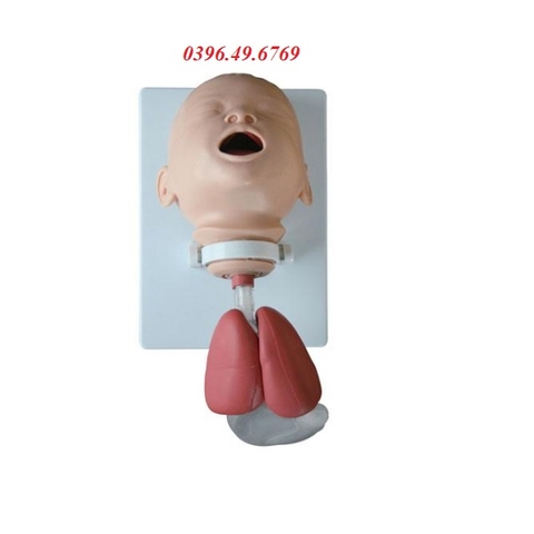 MÔ HÌNH ĐẶT ỐNG NỘI KHÍ QUẢN TRẺ SƠ SINH TRẺ EM