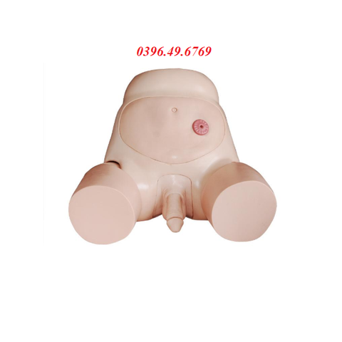 MÔ HÌNH ĐẶT SONDE THÔNG TIỂU NAM