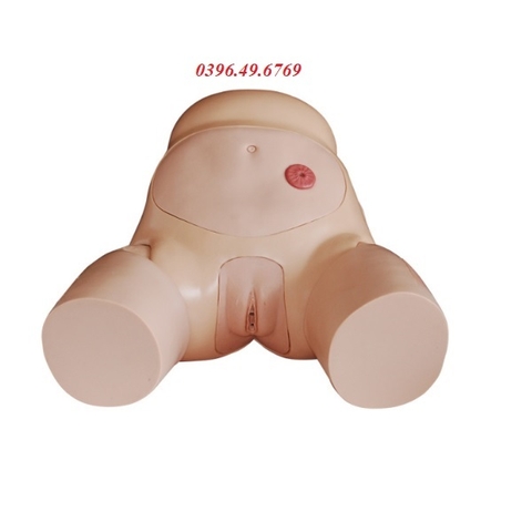 MÔ HÌNH ĐẶT SONDE TIỂU NỮ- THÔNG TIỂU NỮ