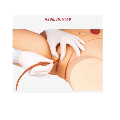 MÔ HÌNH THỰC HÀNH ĐẶT ỐNG THÔNG TIỂU NỮ MODEL GD/H17F