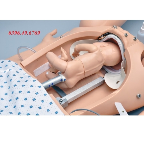 MÔ HÌNH BỤNG MẸ CÓ THAI NHI VÀ HỆ THỐNG TIM THAI ĐIỆN TỬ R17800 ERLER ZIMMER