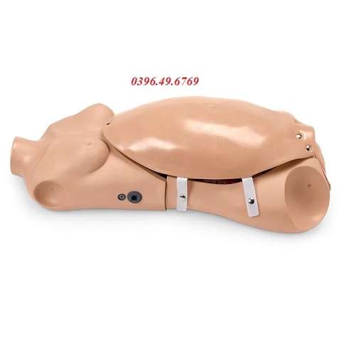 MÔ HÌNH ĐỠ ĐẺ TỰ ĐỘNG MODEL S552 GAUMARD MỸ