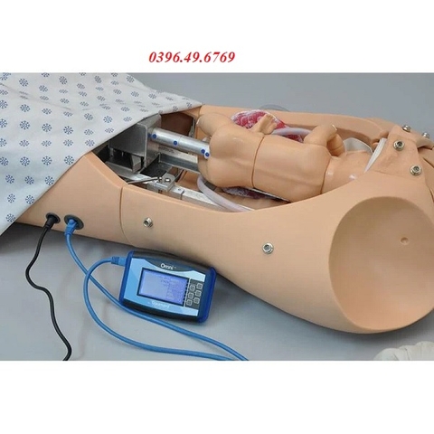 MÔ HÌNH ĐỠ ĐẺ TỰ ĐỘNG MODEL S552 GAUMARD MỸ