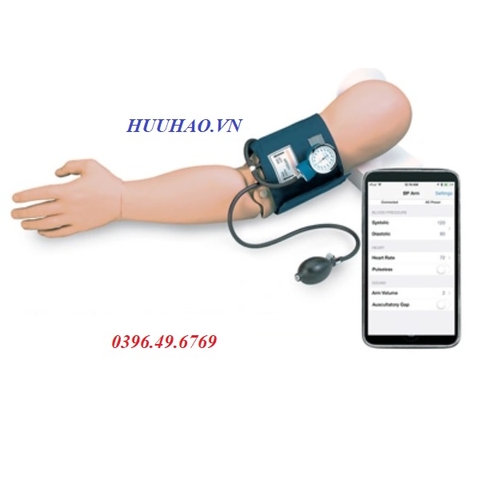MÔ HÌNH THỰC HÀNH ĐO HUYẾT ÁP CÁNH TAY ADAM ROUILLY AN775