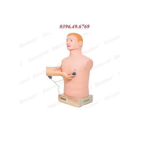 MÔ HÌNH HUẤN LUYỆN NGHE TIM PHỔI MODEL GD/Z990 GIÁ RẺ