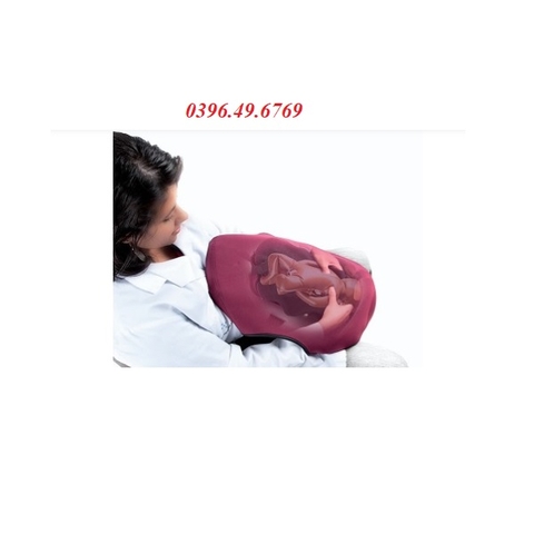 MÔ HÌNH HUẤN LUYỆN SINH ĐẺ VÀ CHĂM SÓC TRẺ SƠ SINH 340-00333 HÃNG LAERDAL