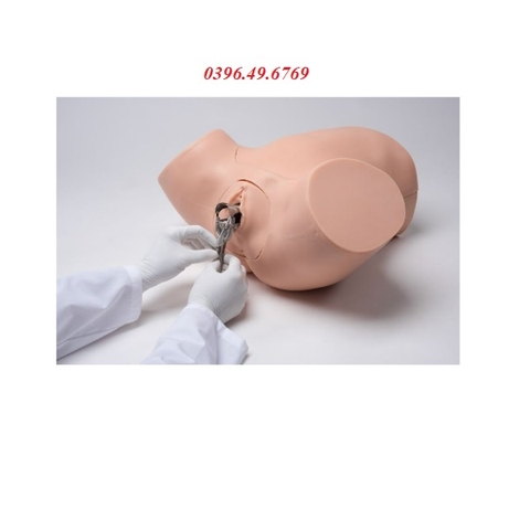 MÔ HÌNH KHÁM SẢN PHỤ KHOA- THỰC HÀNH HÚT THAI MODEL S504.200 GAUMARD