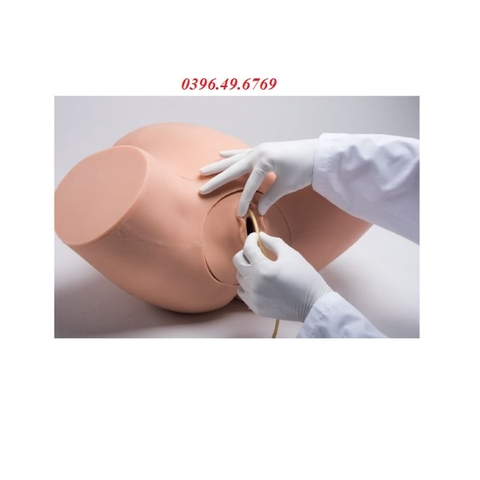 MÔ HÌNH KHÁM SẢN PHỤ KHOA- THỰC HÀNH HÚT THAI MODEL S504.200 GAUMARD