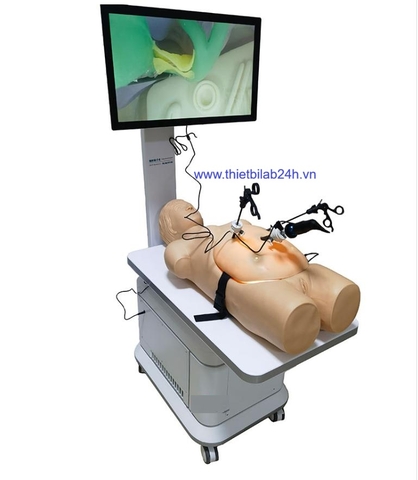 Mô hình thực hành nội soi ổ bụng